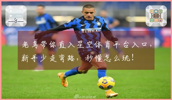 老鸟带你直入星空体育平台入口，新手少走弯路，秒懂怎么玩！