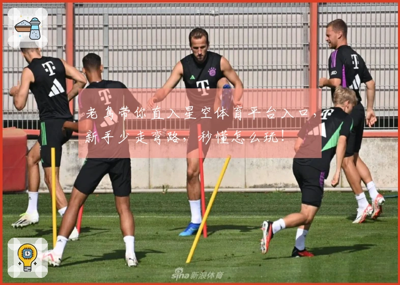 老鸟带你直入星空体育平台入口，新手少走弯路，秒懂怎么玩！