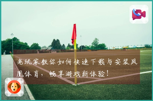 老玩家教你如何快速下载与安装凤凰体育，畅享游戏新体验！