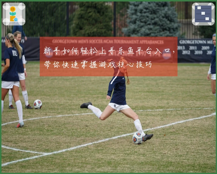 新手如何轻松上手乐鱼平台入口，带你快速掌握游戏核心技巧